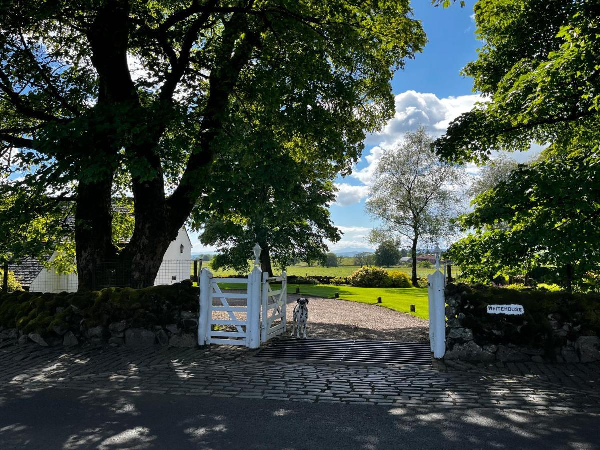 Whitehouse Bed & Breakfast Uplawmoor ภายนอก รูปภาพ
